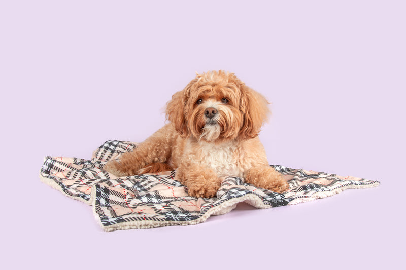 Plush Dog Pet Blanket Nova Plaid Beige Red Black Tartan Pattern