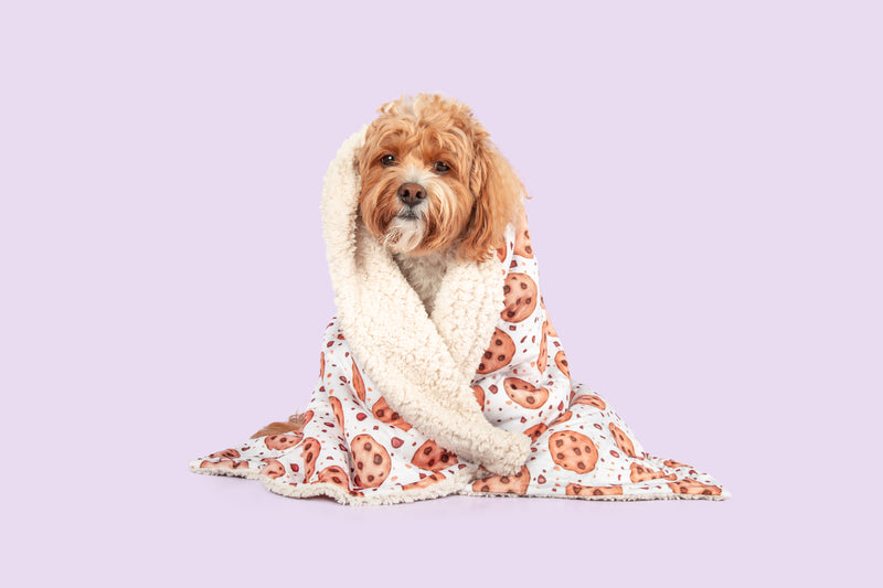 Plush Dog Pet Blanket One Cute Cookie Biscuit Beige