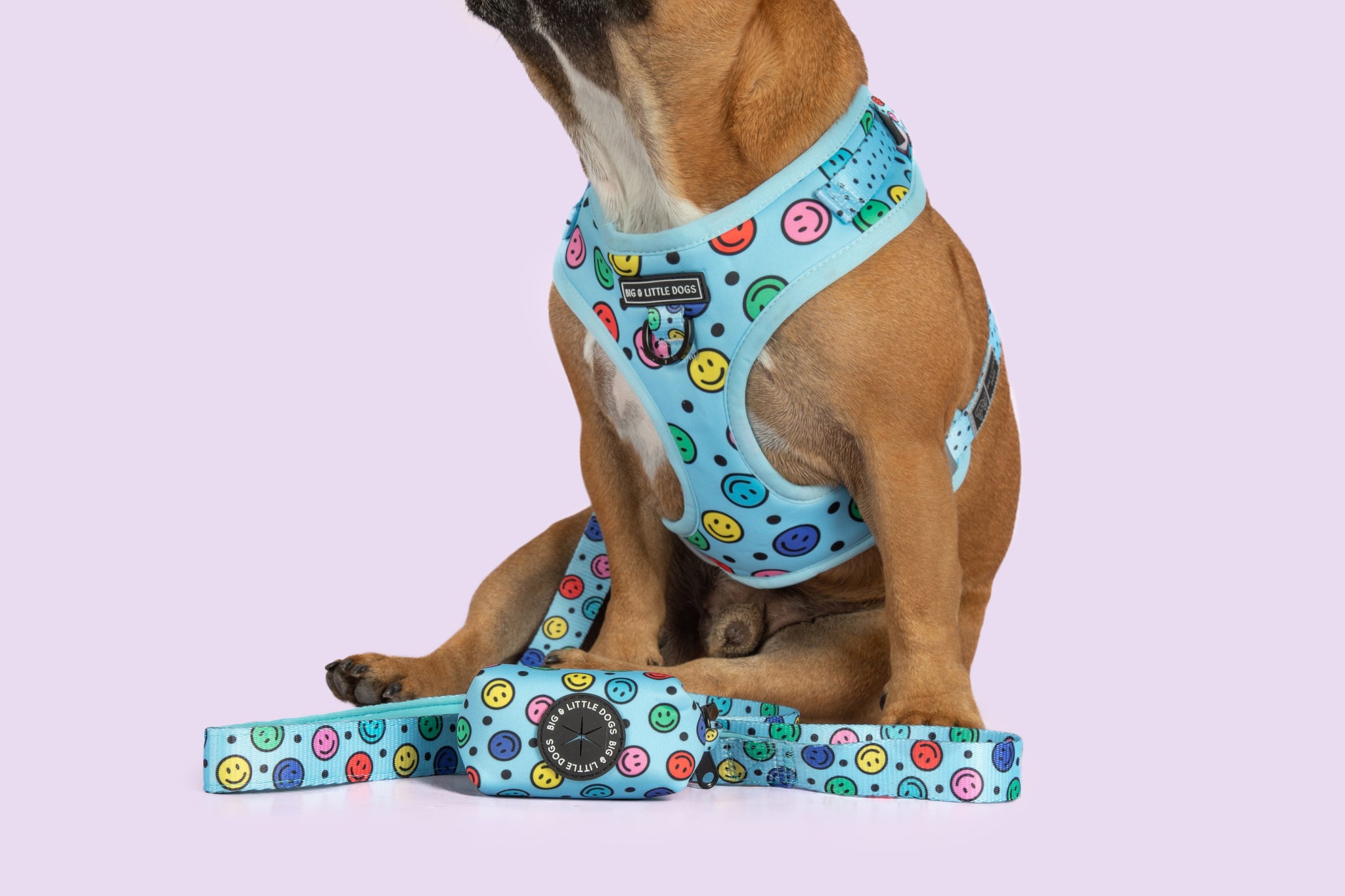 Dog Poop Bag Holder Be Happy Smiley Faces Colourful