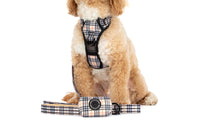 DOG POOP BAG HOLDER: Nova Plaid