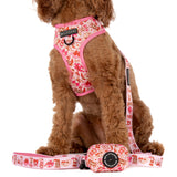 DOG POOP BAG HOLDER: Rodeo Queen