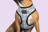 Reversible Dog Harness Lil Angel vs Lil Devil Red Blue