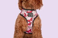 Reversible Dog Harness Pretty Lil Butterfly Wings Pink Red