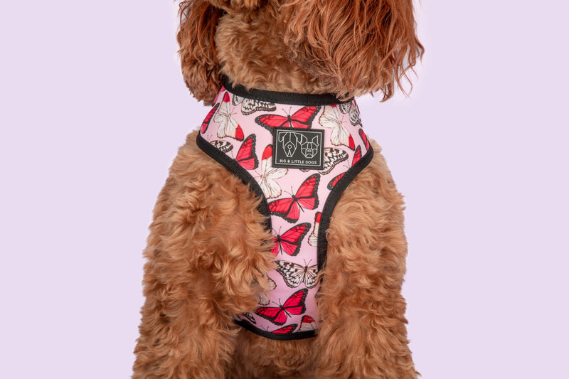 Reversible Dog Harness Pretty Lil Butterfly Wings Pink Red