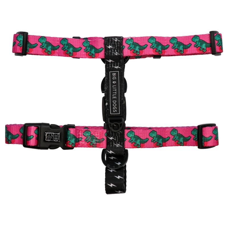 DOG STRAP HARNESS: Princess-asaurus (NO BOW TIE) {FINAL SALE}