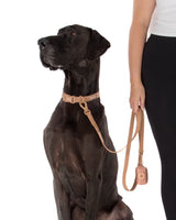 DOG WATERPROOF COLLAR: Coffee