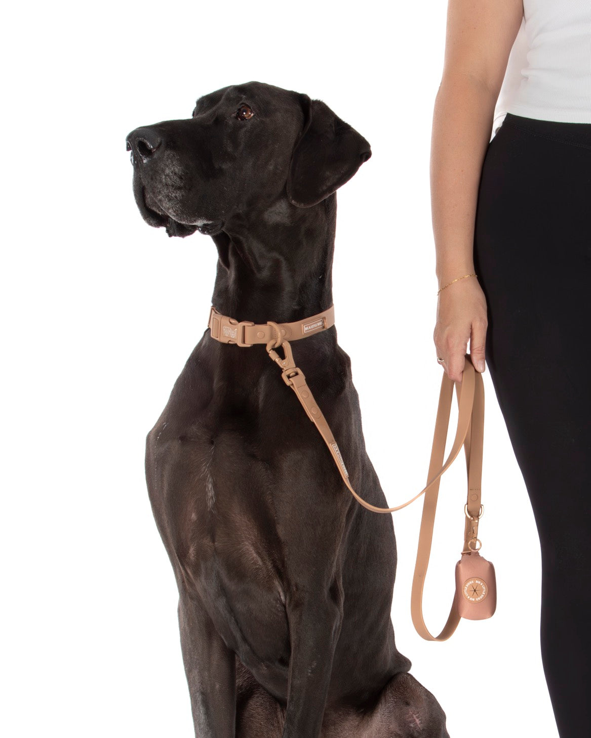 DOG WATERPROOF COLLAR: Coffee