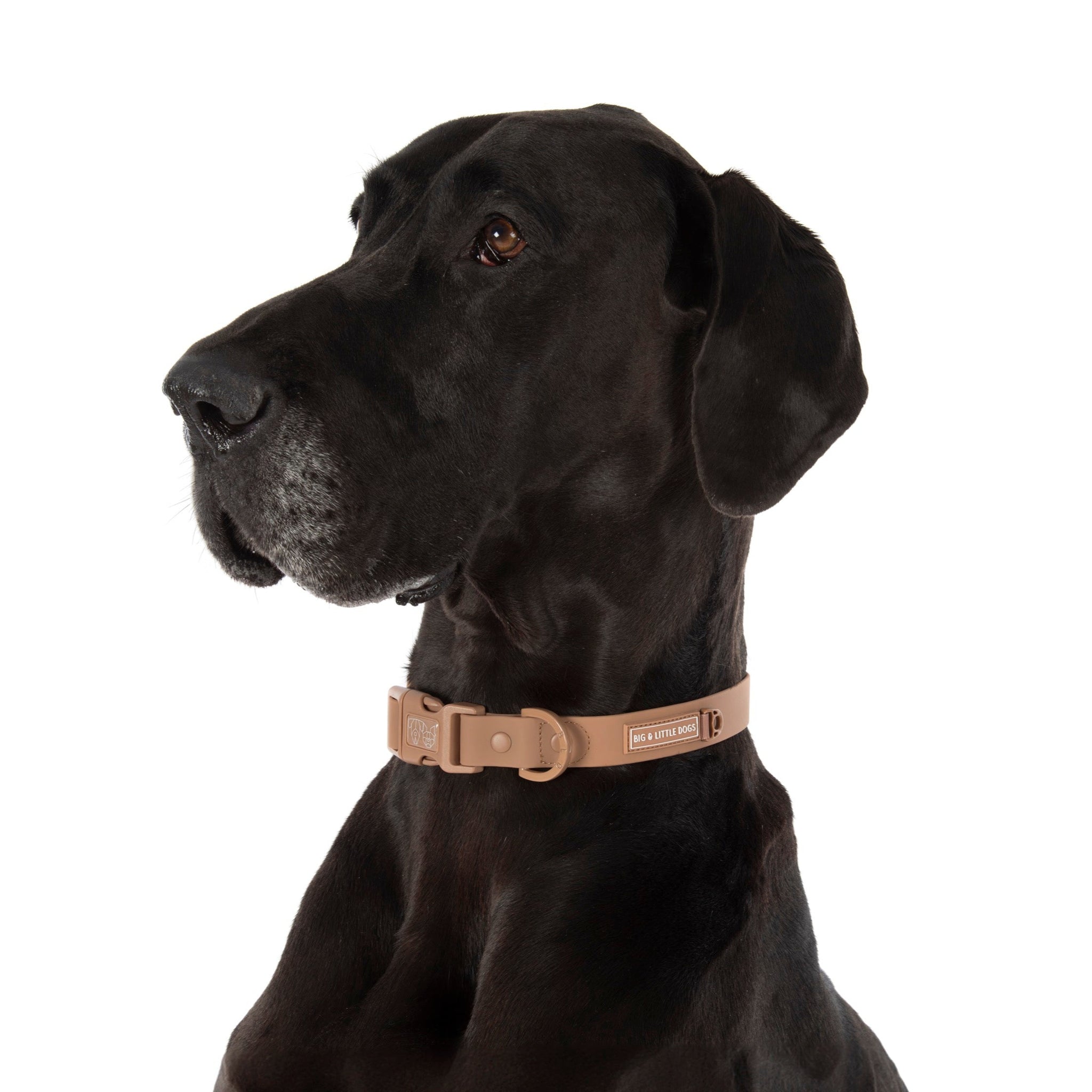 DOG WATERPROOF COLLAR: Coffee
