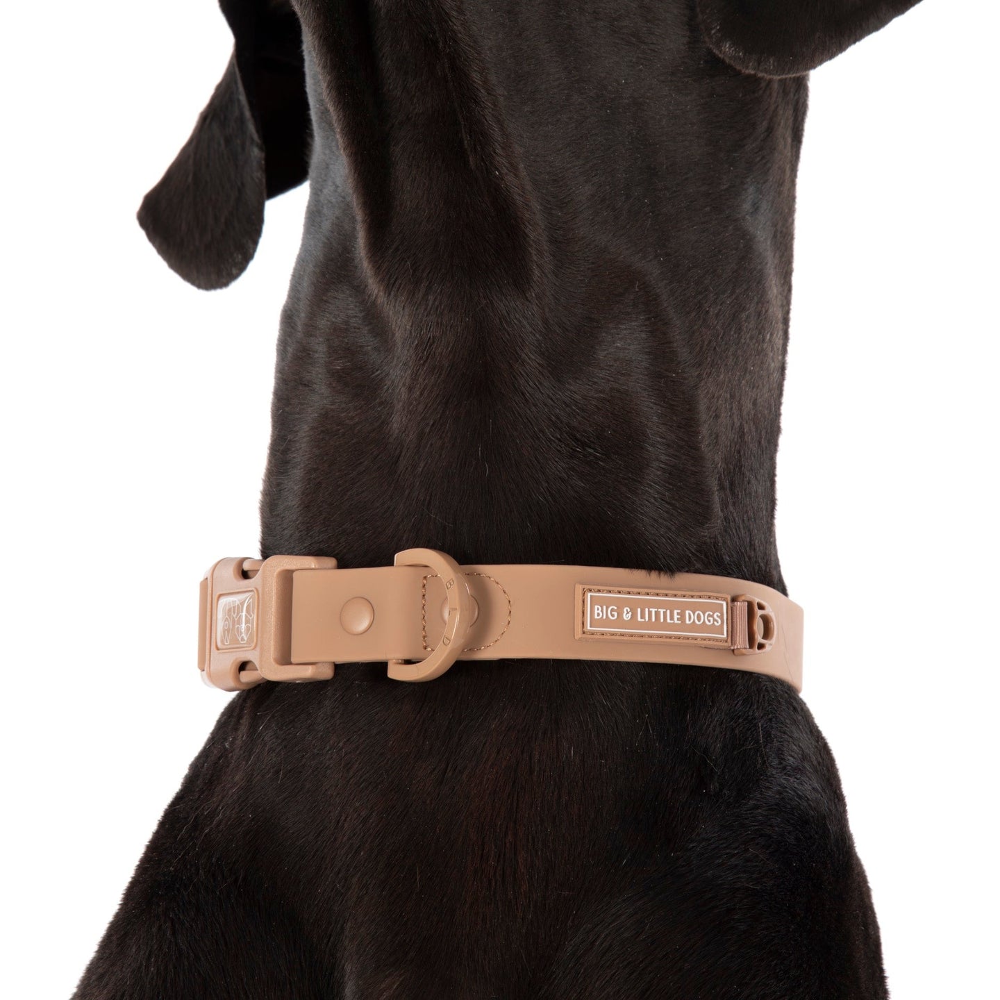 DOG WATERPROOF COLLAR: Coffee