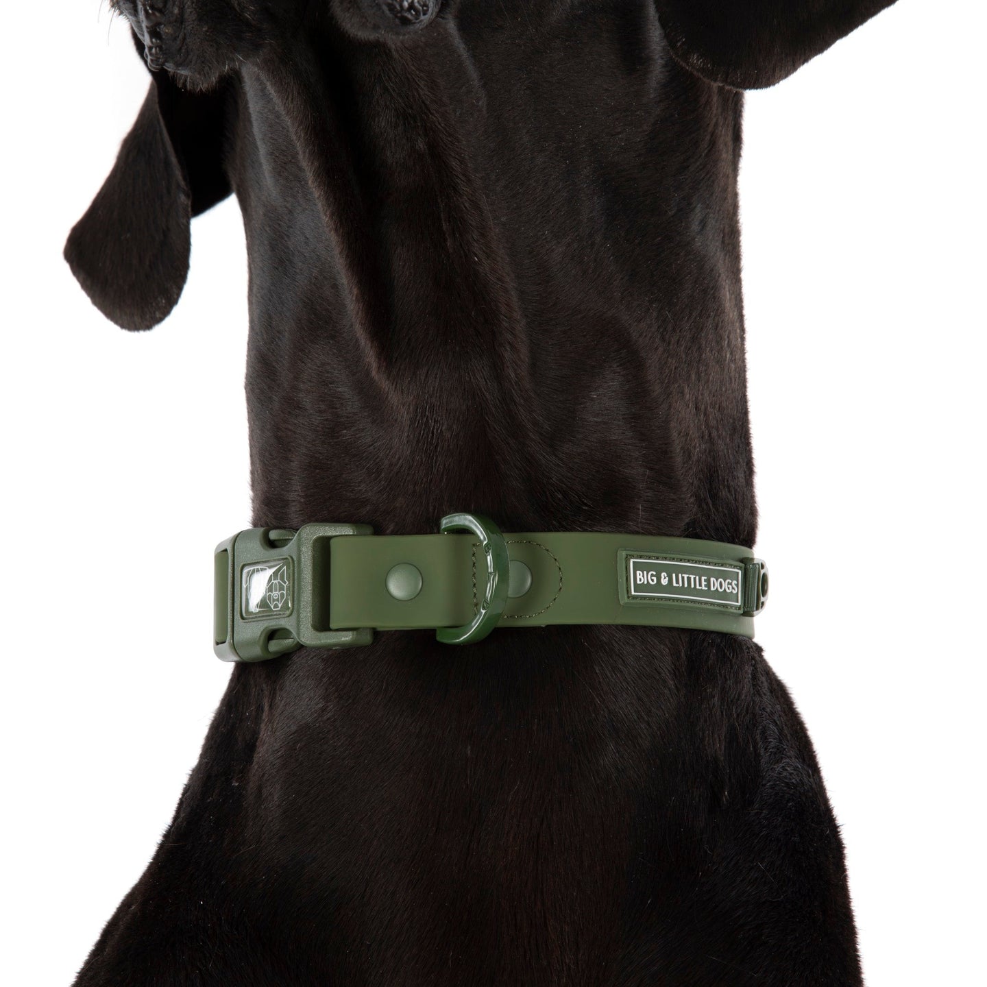 DOG WATERPROOF COLLAR: Olive