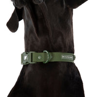 DOG WATERPROOF COLLAR: Olive