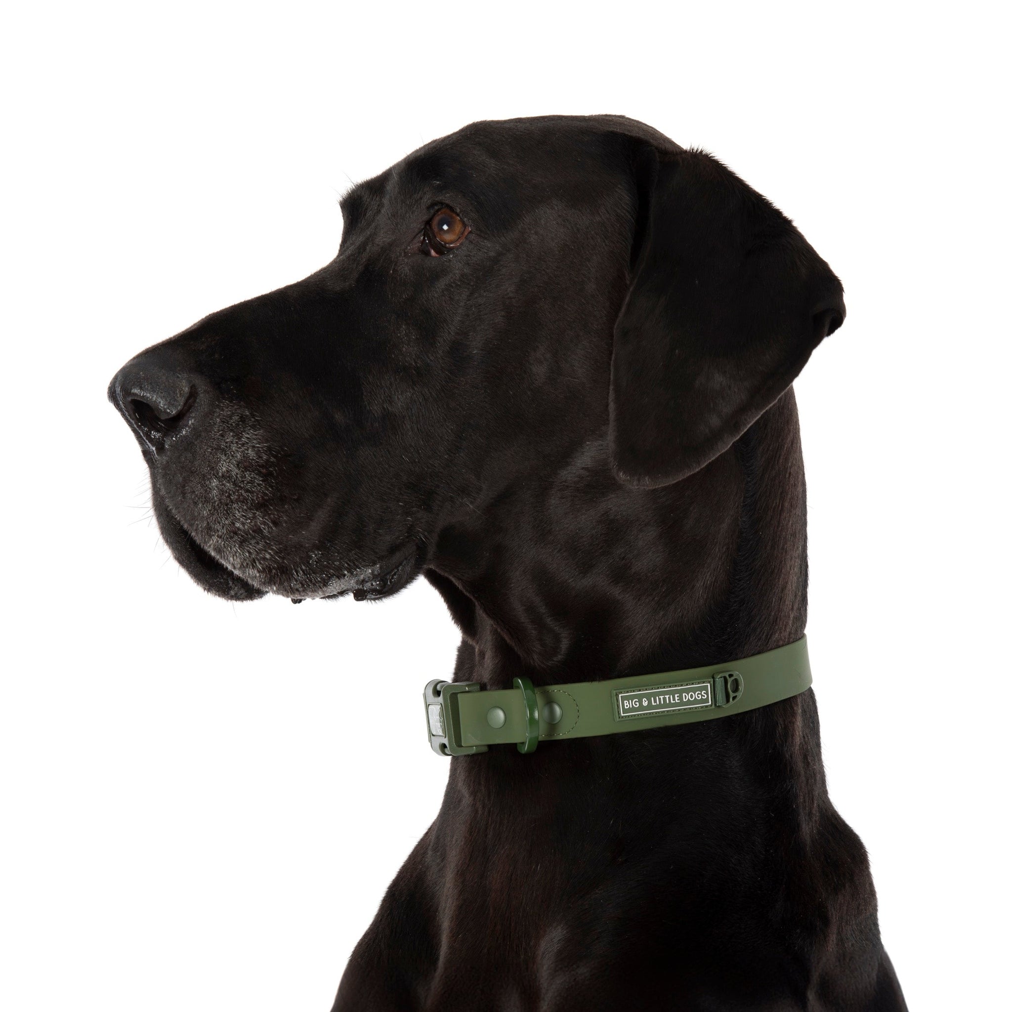 DOG WATERPROOF COLLAR: Olive