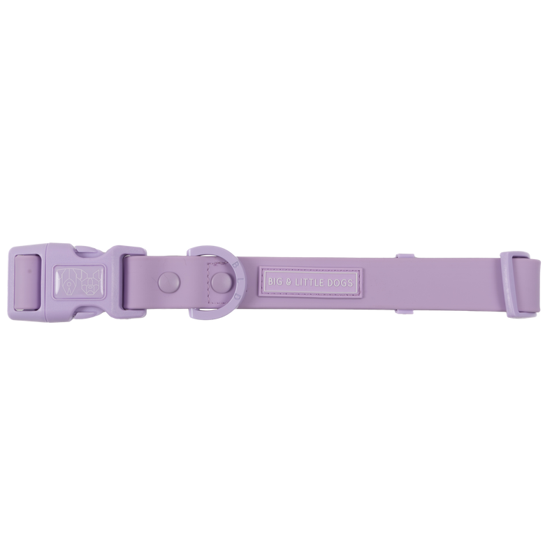 DOG WATERPROOF COLLAR: Purple (NEW!)