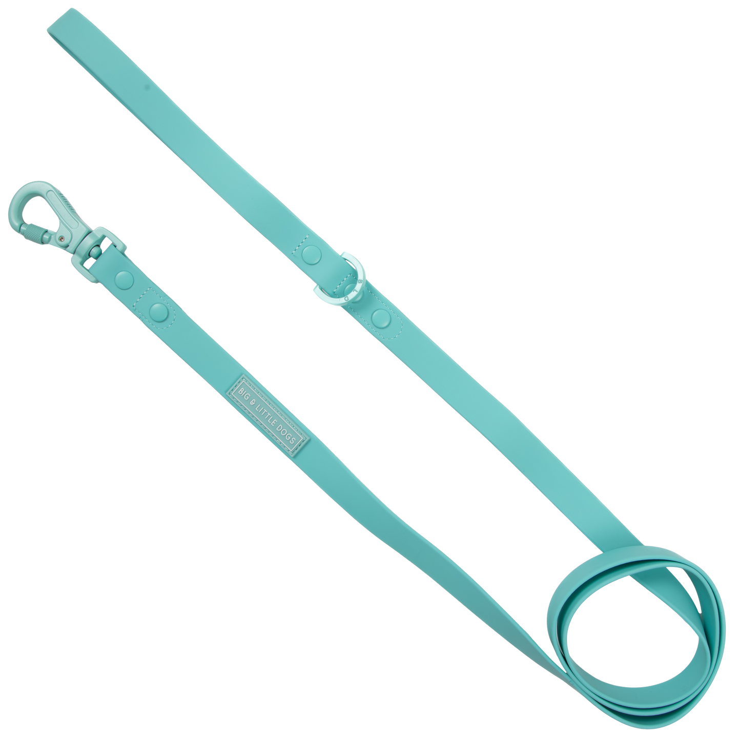 DOG WATERPROOF LEASH: Aqua