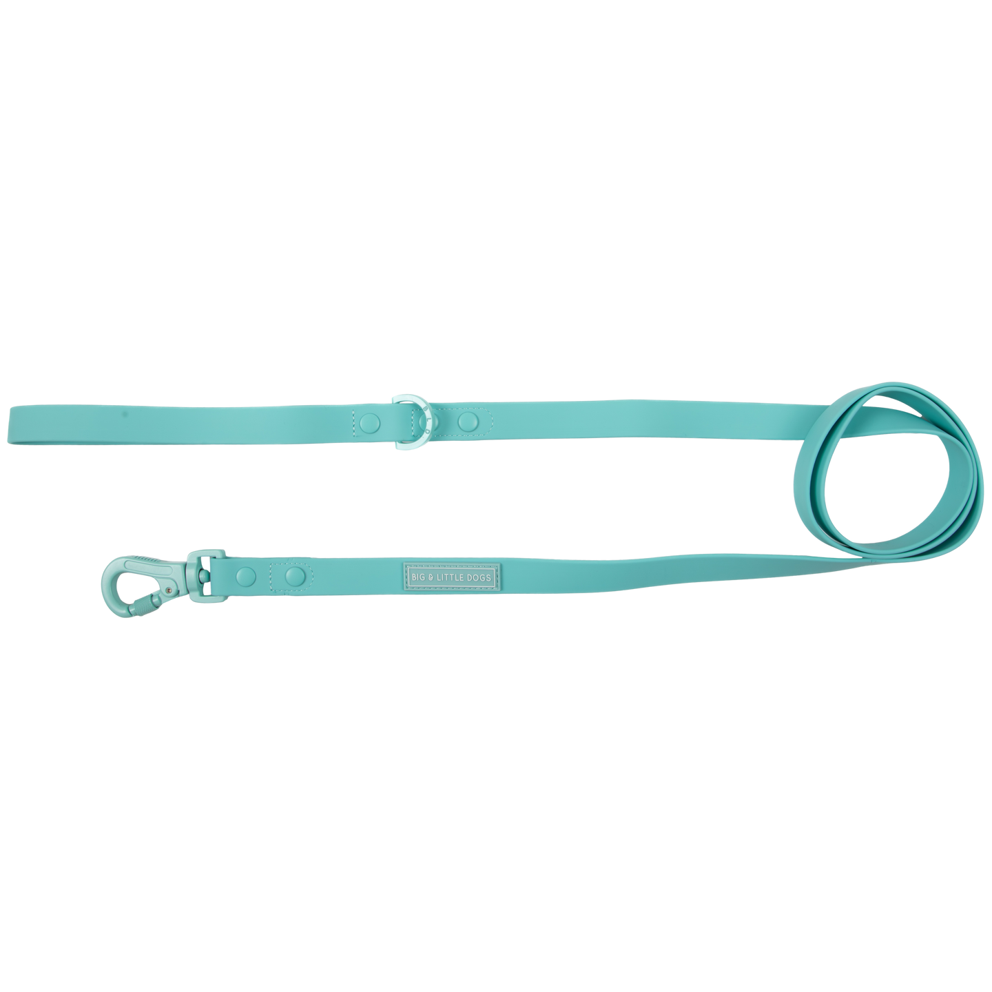 DOG WATERPROOF LEASH: Aqua