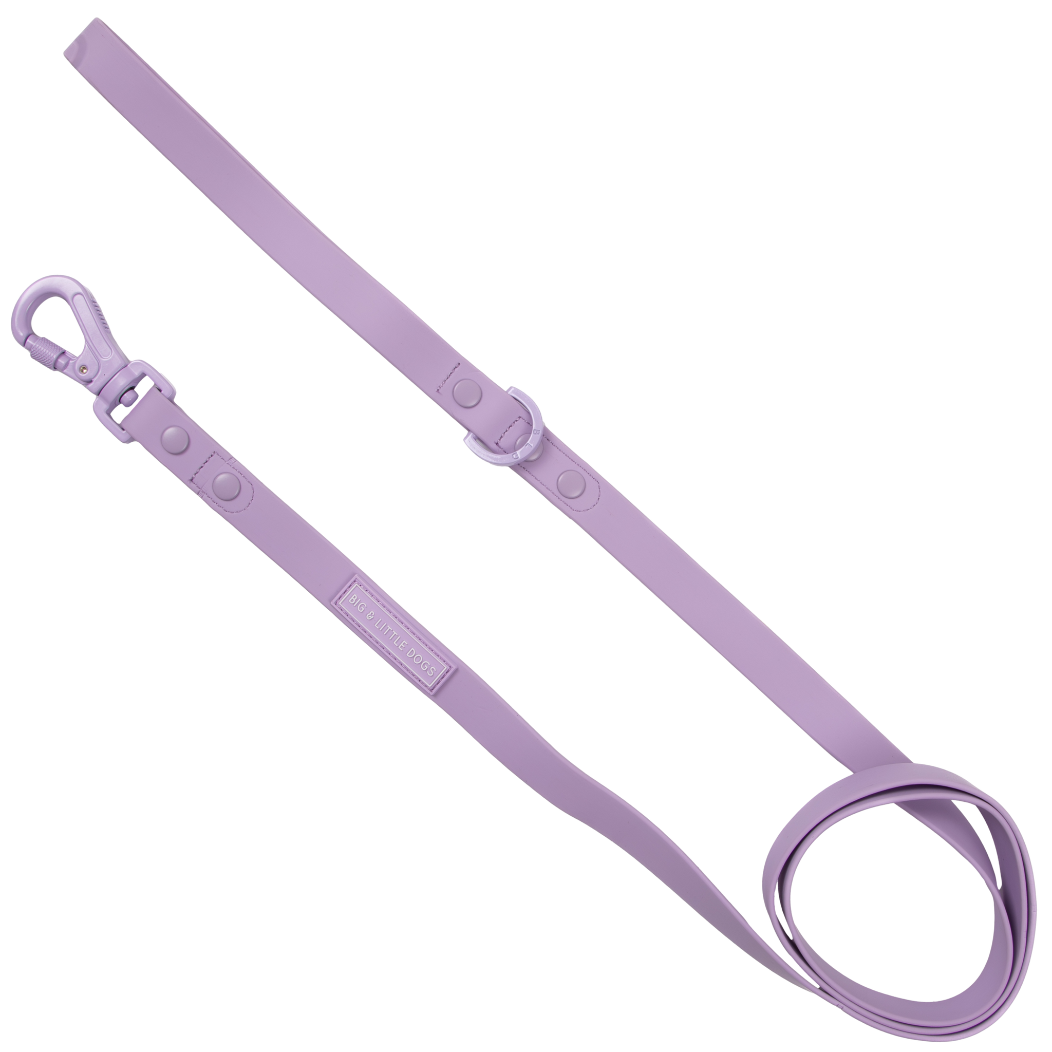 DOG WATERPROOF LEASH: Purple