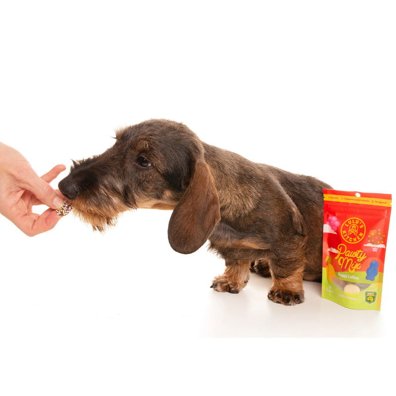 DOG TREATS | Rover Pet Products: Pawty Mix