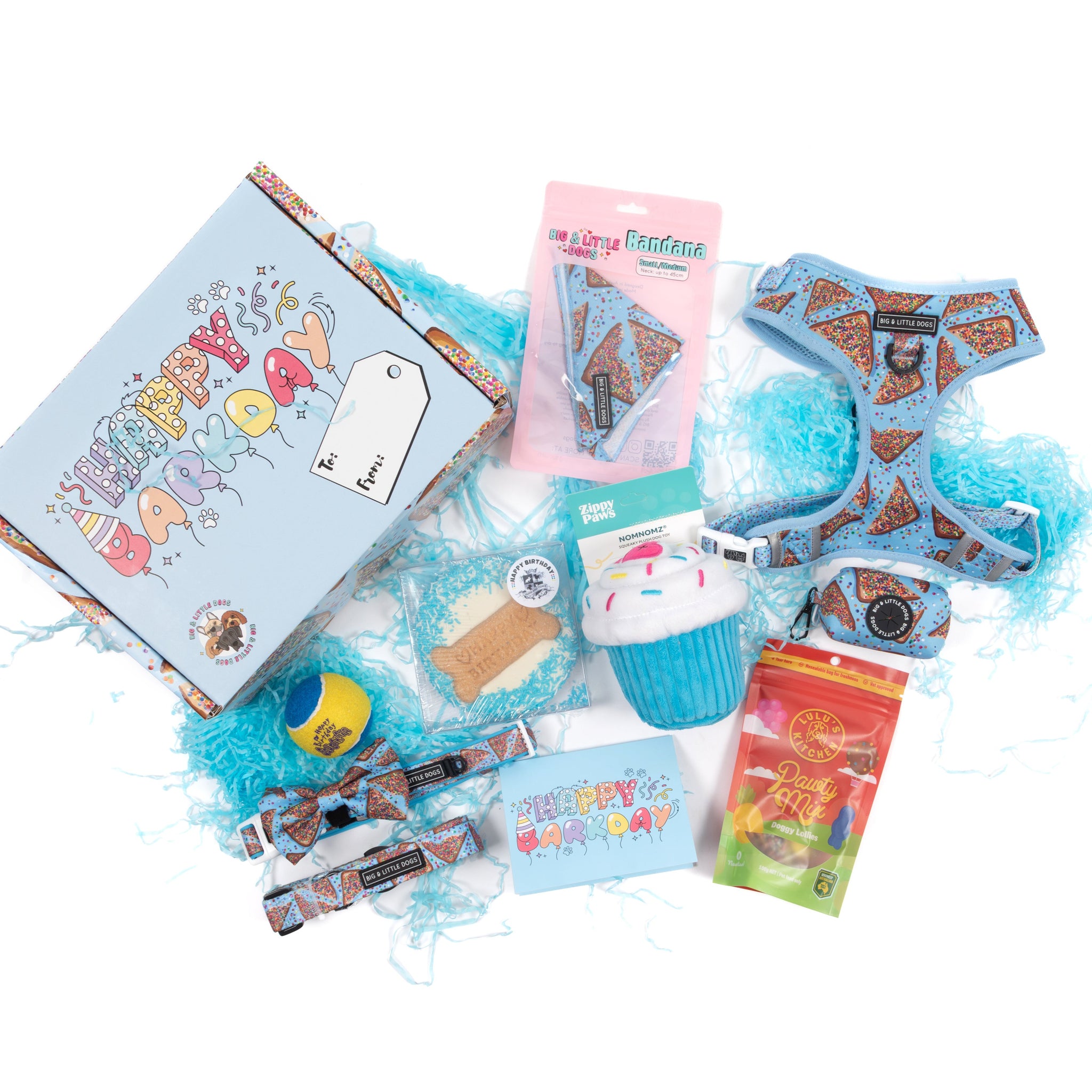 BIRTHDAY EXTRAVAGANZA BOX: "Blue Fairy Bread" Harness & Collar