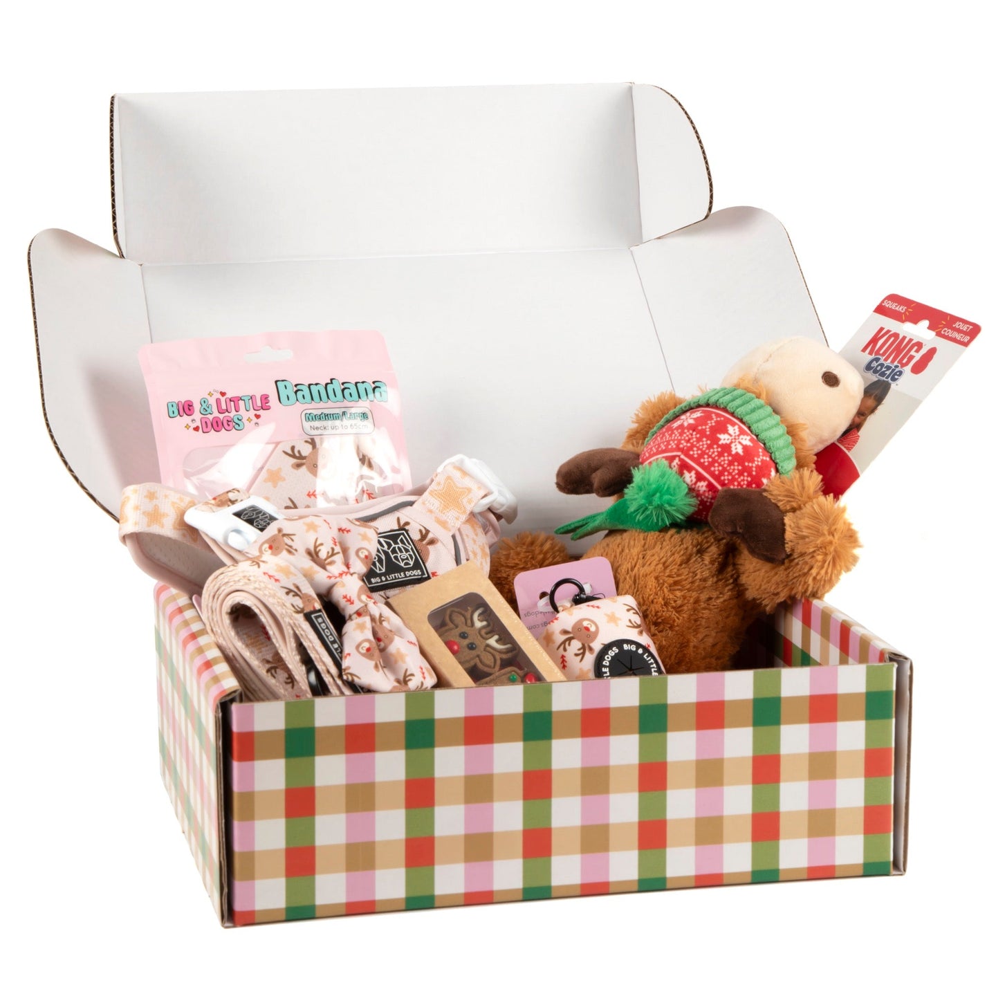 CHRISTMAS EXTRAVAGANZA BOX: "Dashing Through The Stars" All-Rounder Harness & Collar