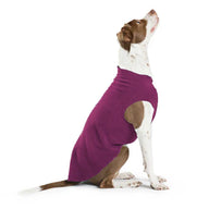 DOG STRETCH FLEECE | Goldpaw: Eggplant