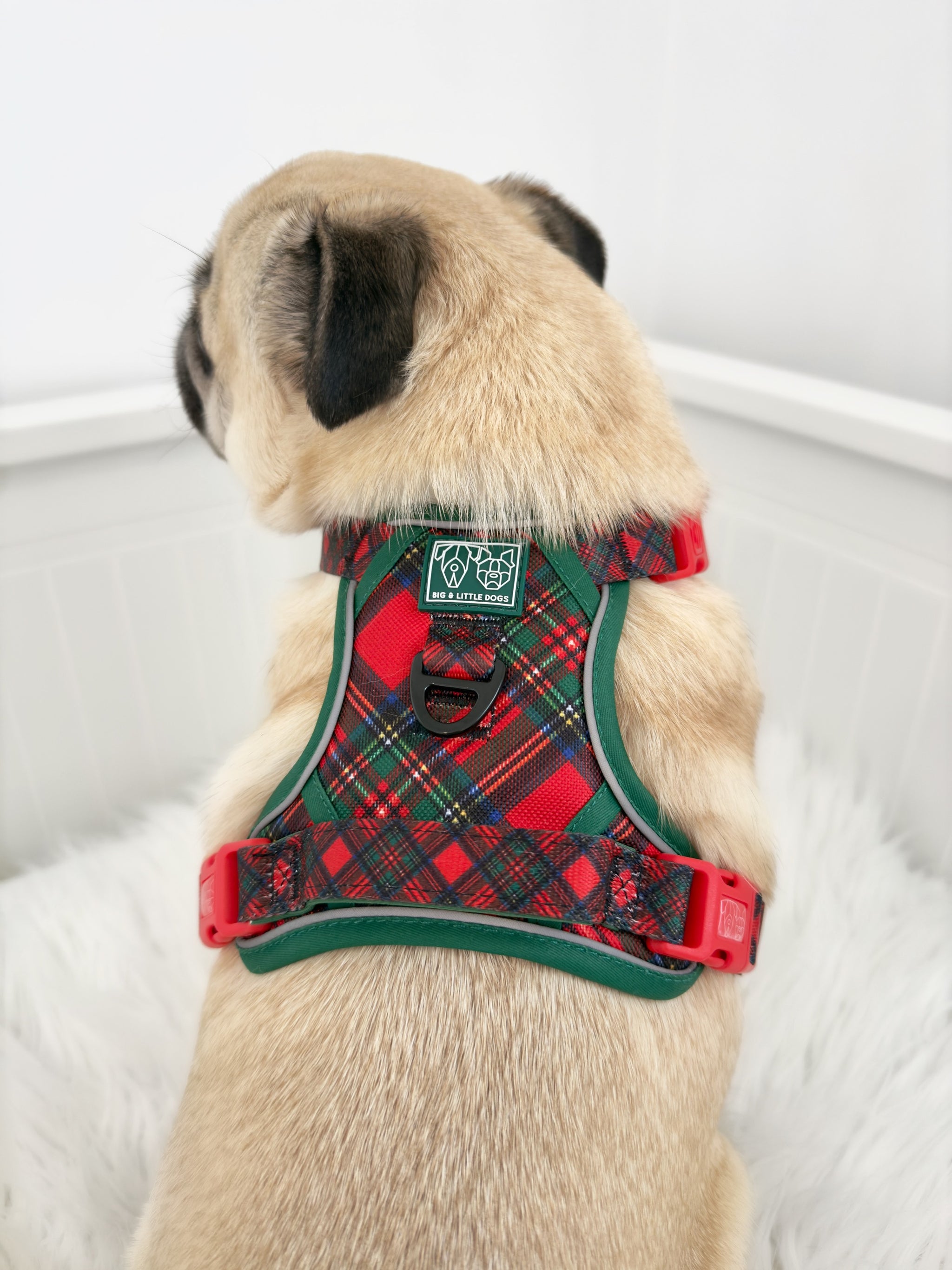 THE ALL-ROUNDER DOG HARNESS: Festive Tartan (NEW!)