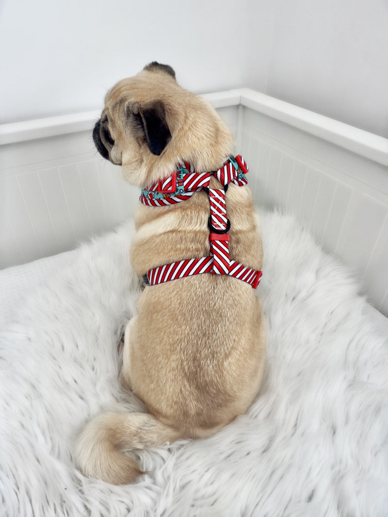 ADJUSTABLE DOG HARNESS: Official Gift Sniffer (NEW!)