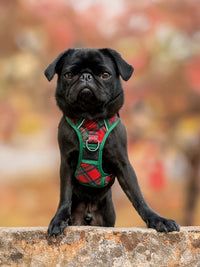 THE ALL-ROUNDER DOG HARNESS: Festive Tartan (NEW!)