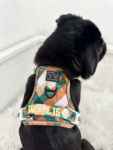 THE ALL-ROUNDER DOG HARNESS: Grandpa Plaid