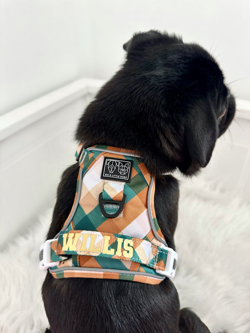 THE ALL-ROUNDER DOG HARNESS: Grandpa Plaid (NEW!)