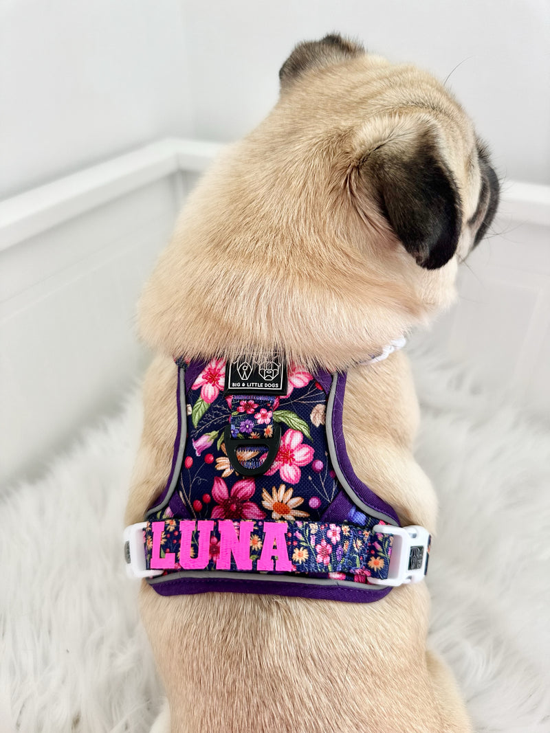 THE ALL-ROUNDER DOG HARNESS: Petal Paradise