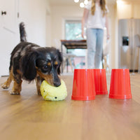 West Paw: The Dog's Best Friend Interactive Board Game (NEW)