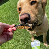 DOG TREATS | Rover Pet Products: Got Crisps - Crocodile Chips