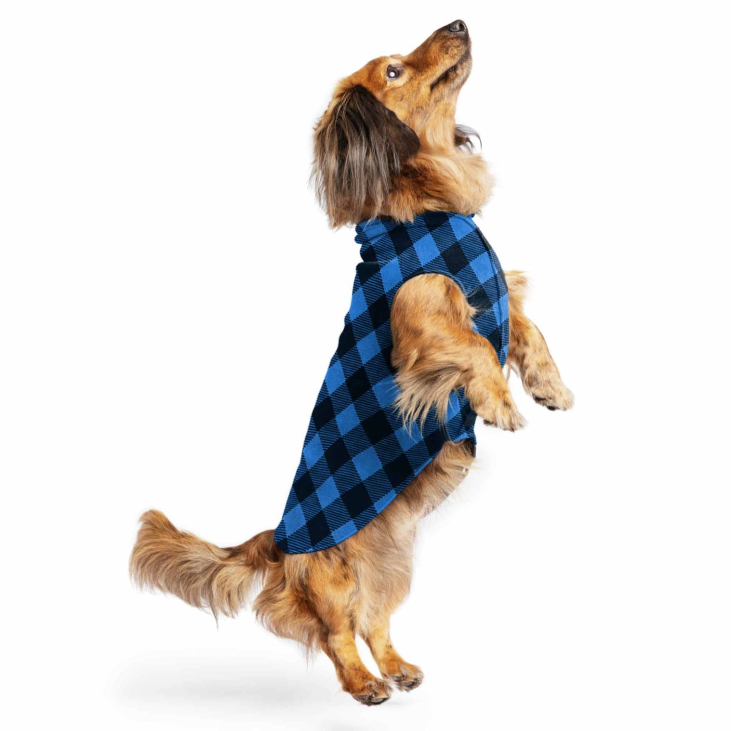 Goldpaw: DOG STRETCH FLEECE | Cobalt Buffalo Plaid