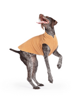 Goldpaw: DOG STRETCH FLEECE | Chipmunk