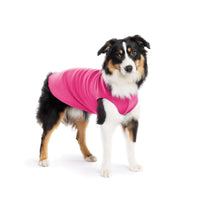 Goldpaw: DOG STRETCH FLEECE | Fuchsia