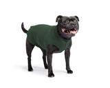 Goldpaw: DOG STRETCH FLEECE | Hunter Green