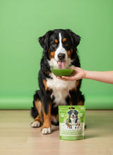 DOG TREATS L'Barkery: Pawjito