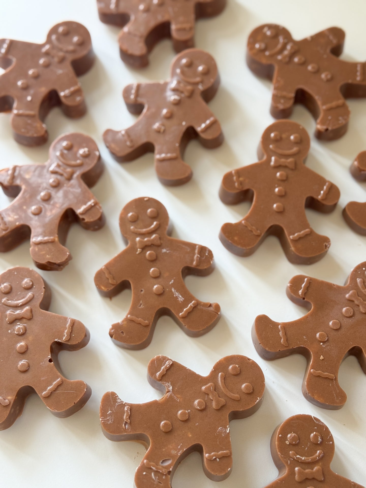 DOG TREATS | The Organic Dog Co: XL Carob Gingerbread