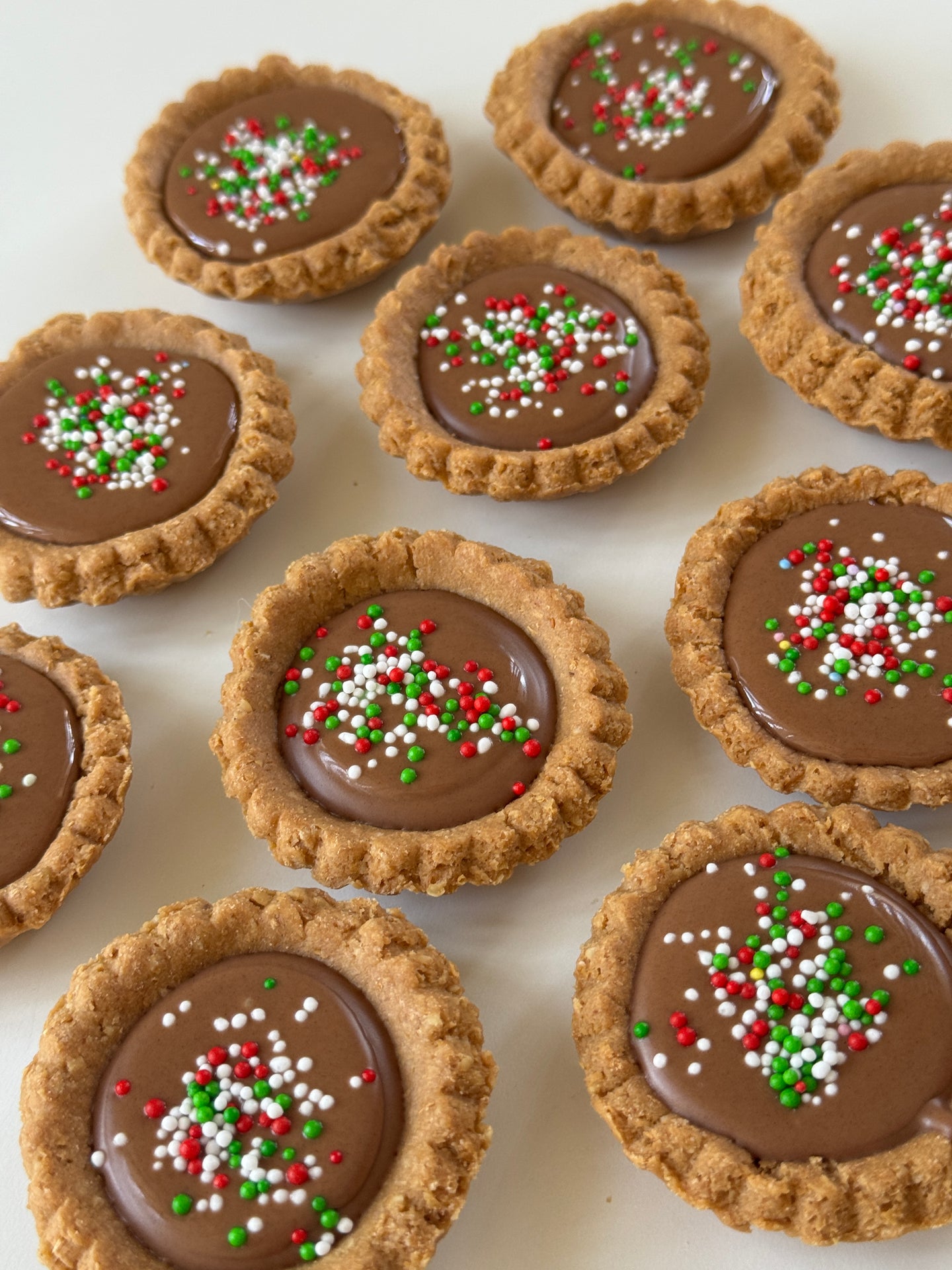 DOG TREATS | The Organic Dog Co: XL Christmas Tart
