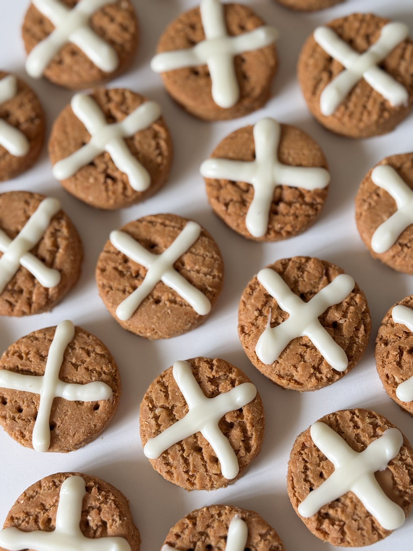 DOG TREATS | The Organic Dog Co: XL Easter Hot Cross Bun (1 Pce)