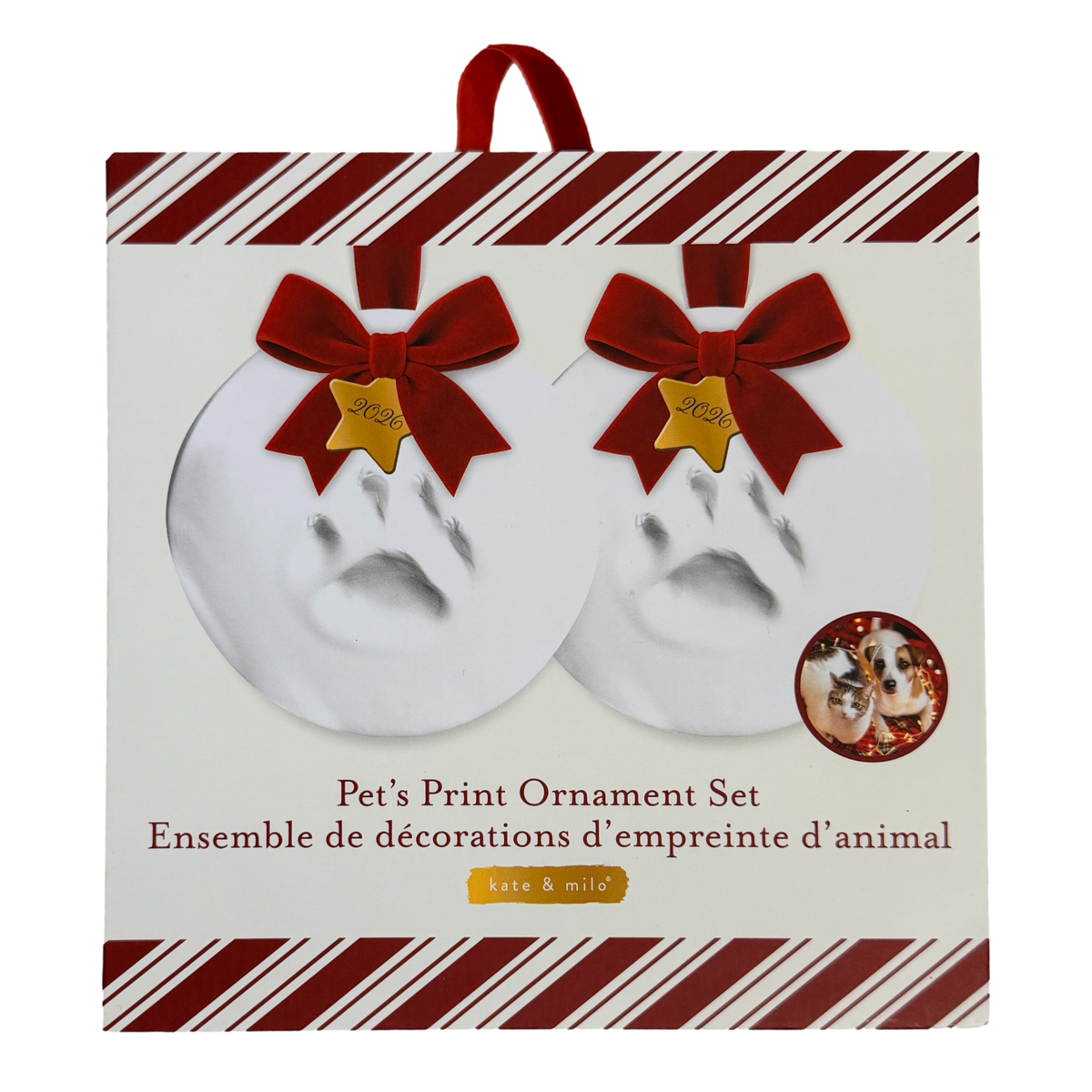 Kate & Milo: DIY Paw Print Ornament Set