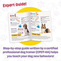 Brightkins: Pooch School! Interactive Dog Training Set