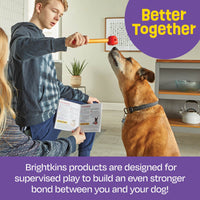 Brightkins: Pooch School! Interactive Dog Training Set (NEW)