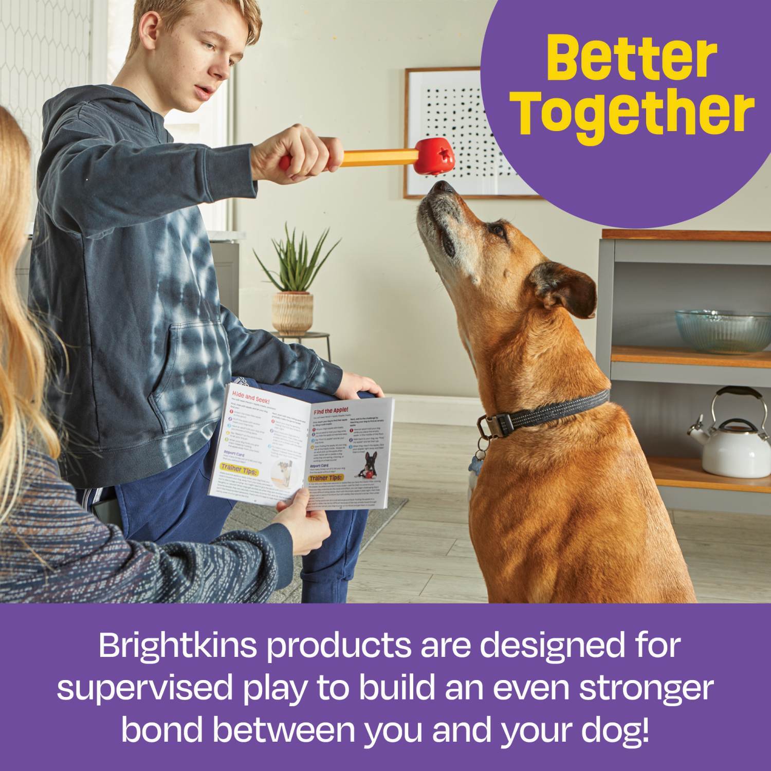 Brightkins: Pooch School! Interactive Dog Training Set