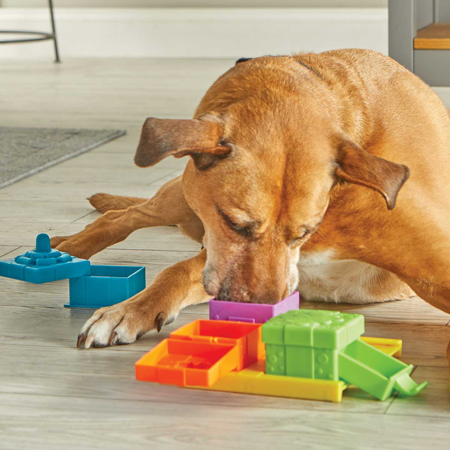 Brightkins: Suprise Party! Dog Treat & Food Interactive Puzzle Toy (NEW)