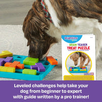 Brightkins: Brain Teaser Interactive Dog Treat & Food Puzzle (NEW)