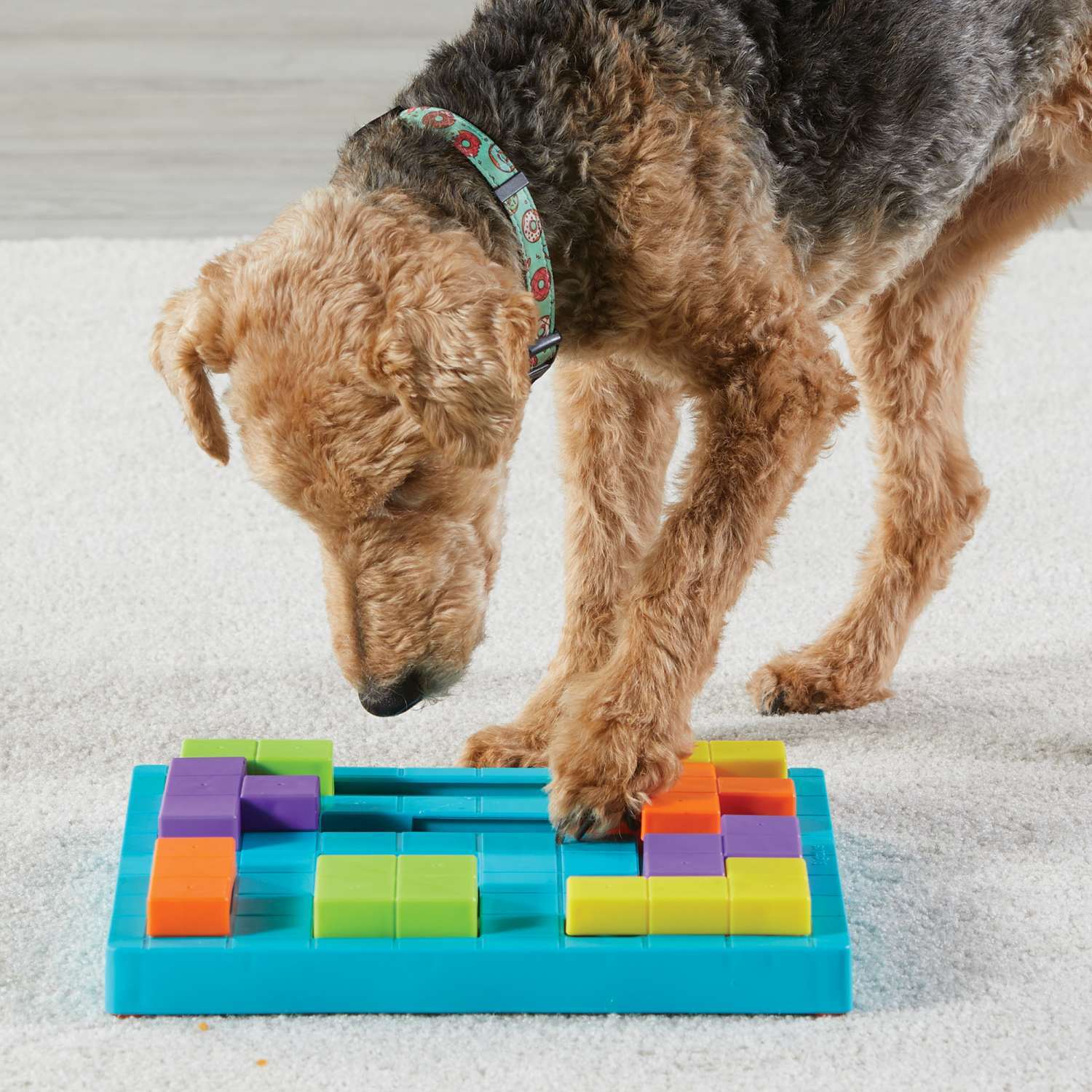 Brightkins: Brain Teaser Interactive Dog Treat & Food Puzzle