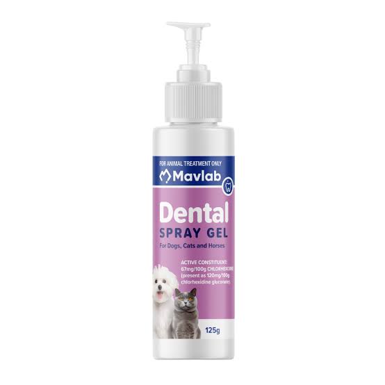MAVLAB: Dental Spray Gel 125g
