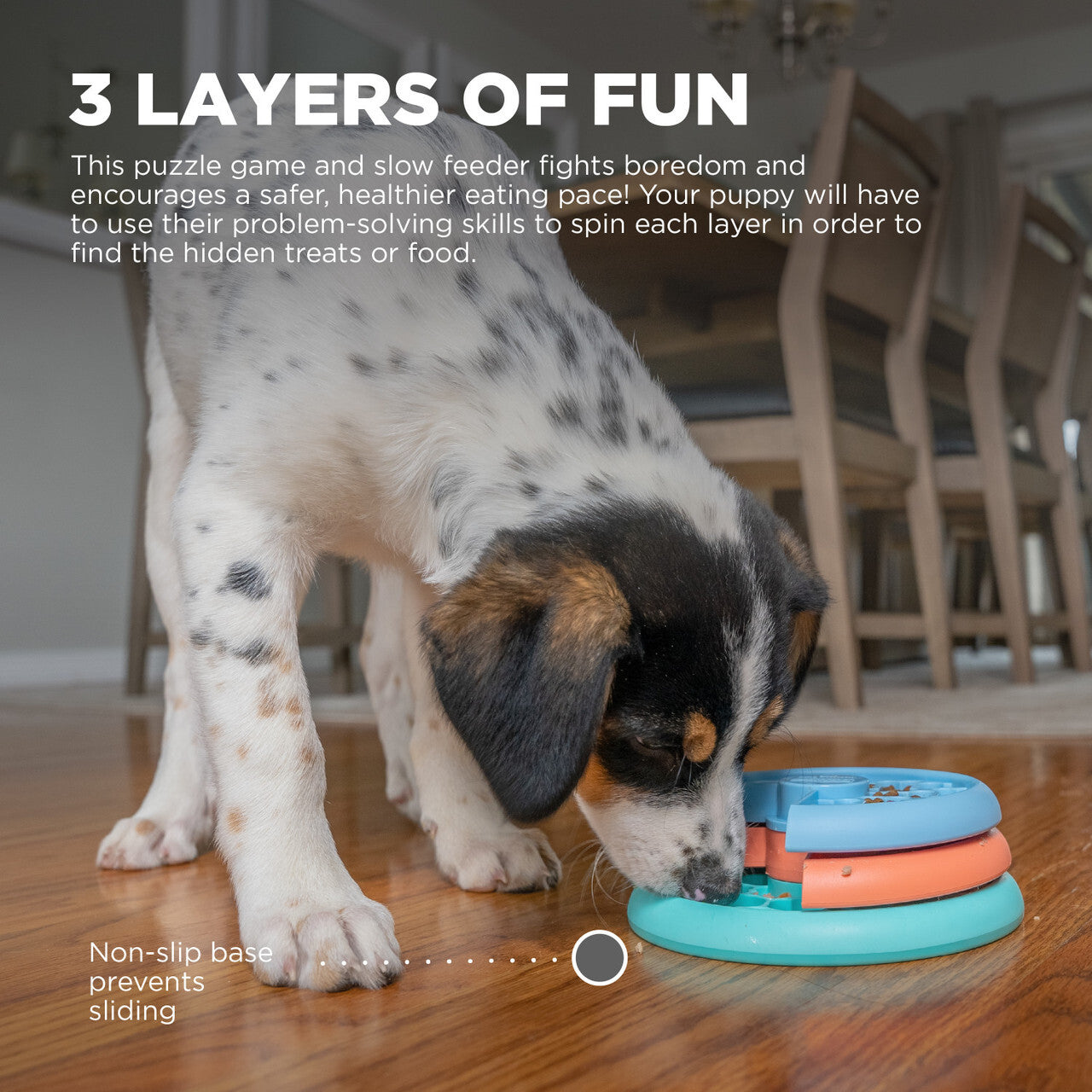 Outward Hound: Puppy Lickin' Layers Slow Food Dog Bowl