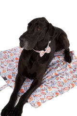 ON-THE-GO PET MAT: Rodeo King